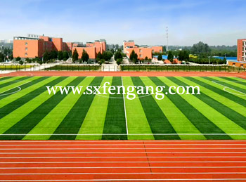 <b>�����ƺ�����Ч���D</b>